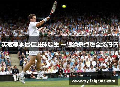 英冠赛季最佳进球诞生 一脚绝杀点燃全场热情