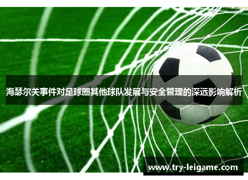 海瑟尔关事件对足球圈其他球队发展与安全管理的深远影响解析