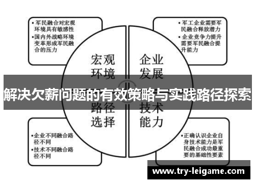 解决欠薪问题的有效策略与实践路径探索 解决欠薪问题的有效策略与实践路径探索
