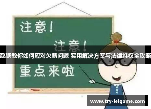 赵鹏教你如何应对欠薪问题 实用解决方案与法律维权全攻略 赵鹏教你如何应对欠薪问题 实用解决方案与法律维权全攻略
