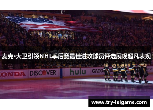 麦克·大卫引领NHL季后赛最佳进攻球员评选展现超凡表现